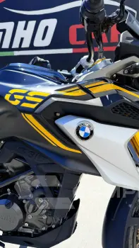 gs 310