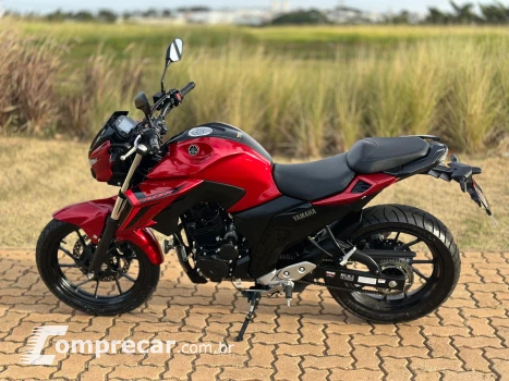 FZ25 FAZER
