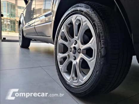 ECOSPORT 2.0 Direct Titanium