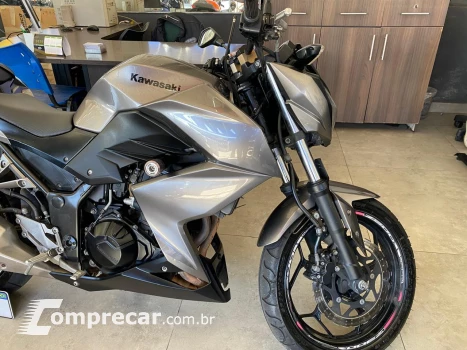 Z300