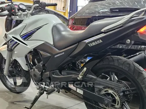YS 250 FAZER/ FAZER L. EDITION /BLUEFLEX