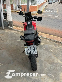 XY 250-4 Modelo sem Versão
