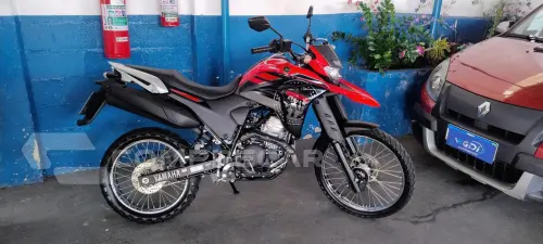 XTZ LANDER
