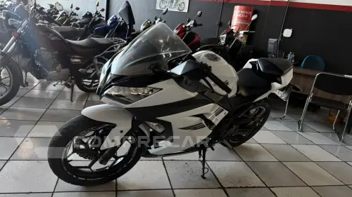 NINJA 300C