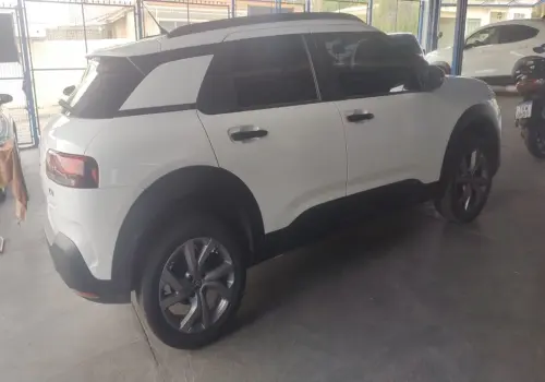 C4 Cactus