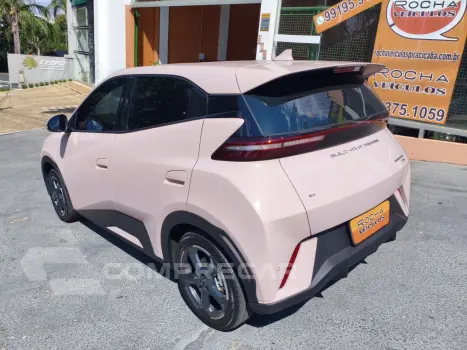 Dolphin Mini 38 KW ELÉTRICO