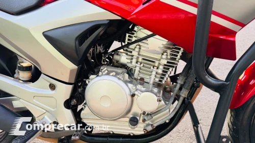Fazer YS 250