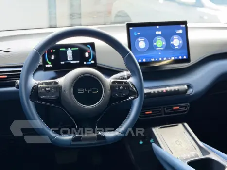 Dolphin Mini (Elétrico)