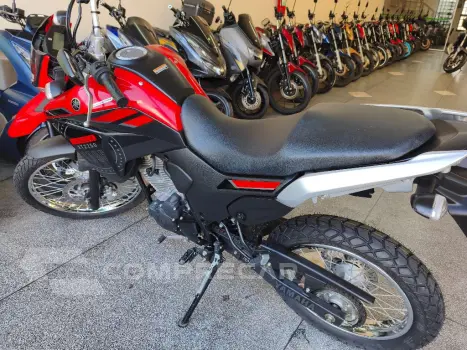XTZ 250 LANDER 249cc/LANDER BLUEFLEX/ABS