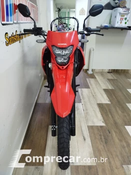 XR 300 Tornado