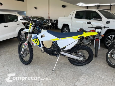 TE 300I