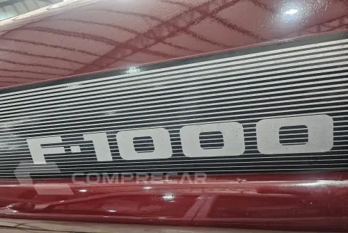 F-1000 3.9 Engerauto CD 8V