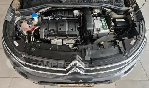 C4CACTUS FEEL AT