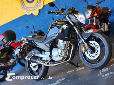YS 250 Fazer
