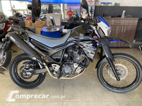 XT 660R