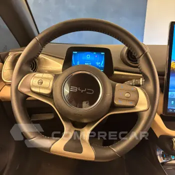 Dolphin EV (Elétrico)
