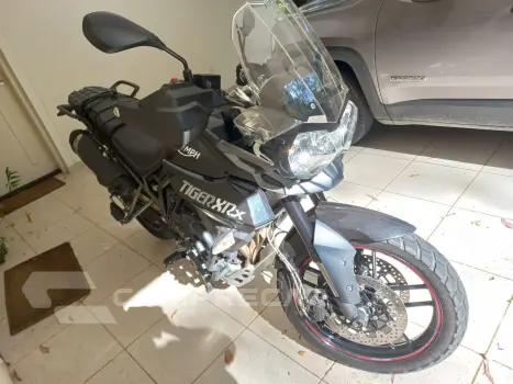 Tiger 800 Xrx
