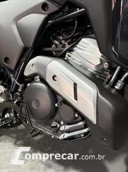 LANDER 250 ABS CONNECT