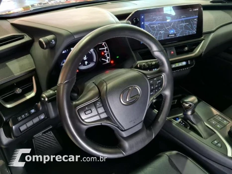 UX250H LUXURY
