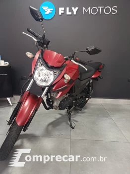 YS150 FAZER SED