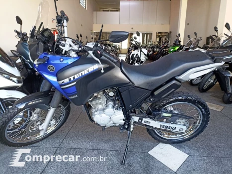 XTZ 250 TENERE/TENERE BLUEFLEX