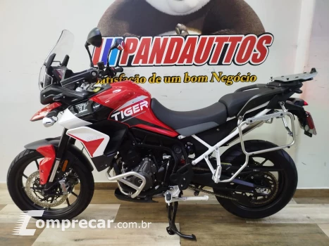 Tiger 900 GT ARAGÓN