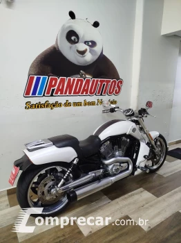 V Rod Custom 1250 cc