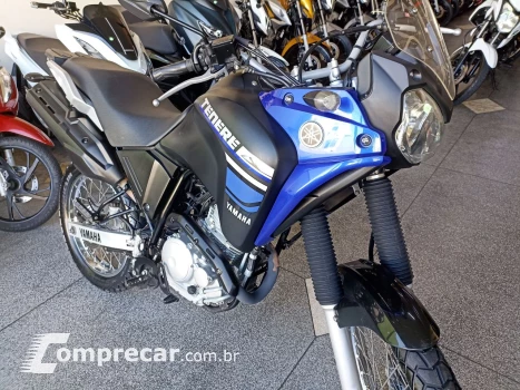 XTZ 250 TENERE/TENERE BLUEFLEX