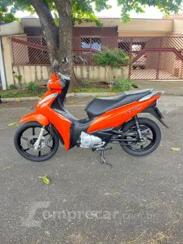 BIZ 125
