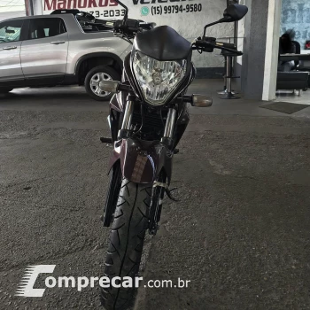 CB 300R/ 300R FLEX