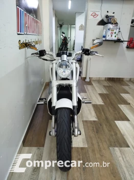 V Rod Custom 1250 cc