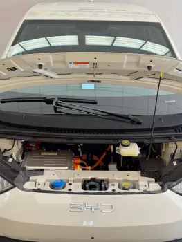 Dolphin Mini 38 KW ELÉTRICO