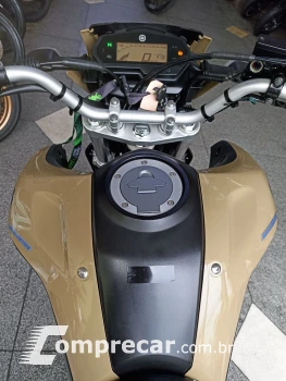 XTZ 250 LANDER 249cc/LANDER BLUEFLEX/ABS