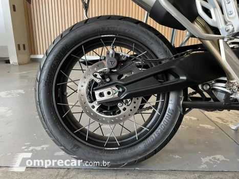 TIGER 900 RALLY PRO