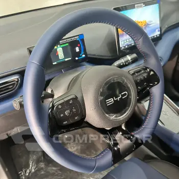 Dolphin Mini (Elétrico)