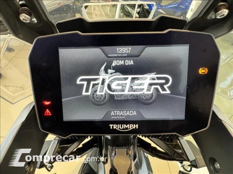 TIGER 900 GT PRO