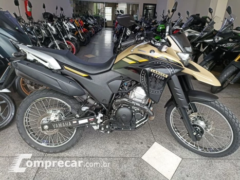XTZ 250 LANDER 249cc/LANDER BLUEFLEX/ABS