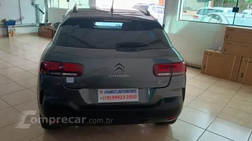 C4 CACTUS FEEL BUSINESS AUT