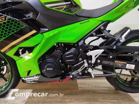 Ninja 300 cc