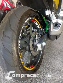 CB 300F Twister Flex