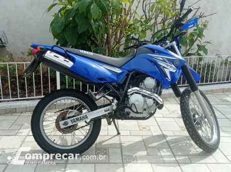 XTZ Lander
