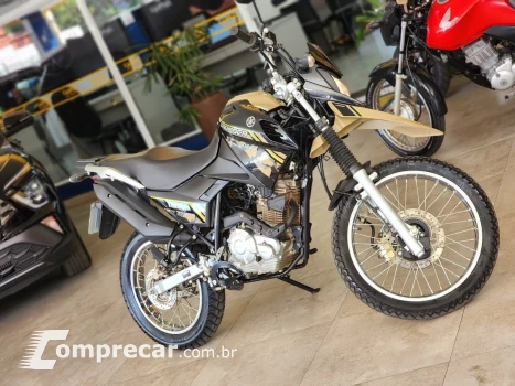 XTZ XTZ 150 CROSSER Z FLEX