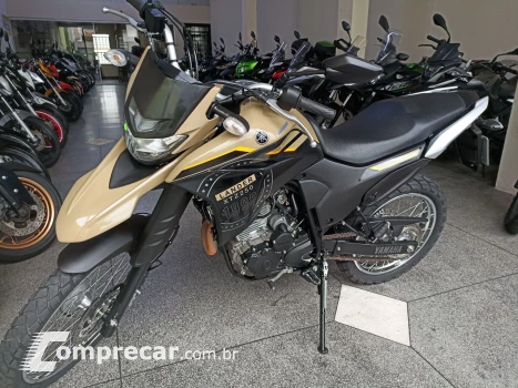 XTZ 250 LANDER 249cc/LANDER BLUEFLEX/ABS