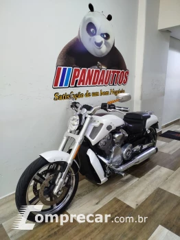 V Rod Custom 1250 cc