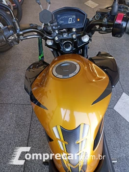 CB 250 TWISTER/FLEXONE