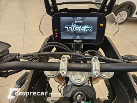 TIGER 900 RALLY