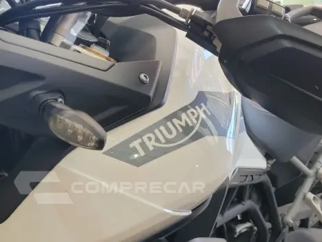 TIGER 900 RALLY