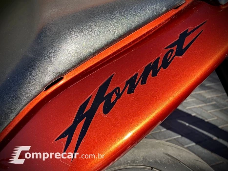 CB 600F HORNET
