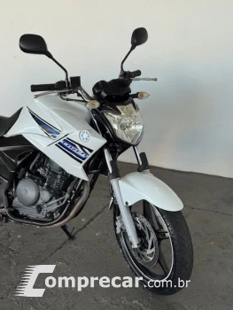 YS 250 FAZER/ FAZER L. EDITION /BLUEFLEX