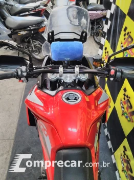 Tiger 900 gt pro